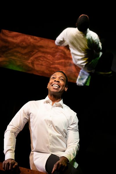 Michael Benjamin Washington  Photo