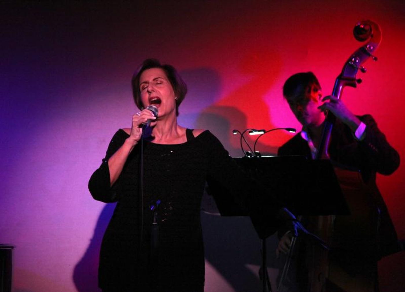 Review: Lucille Carr-Kaffashan Shows The Guys Some Love in HOW THE LIGHT GETS IN at Don't Tell Mama  Image