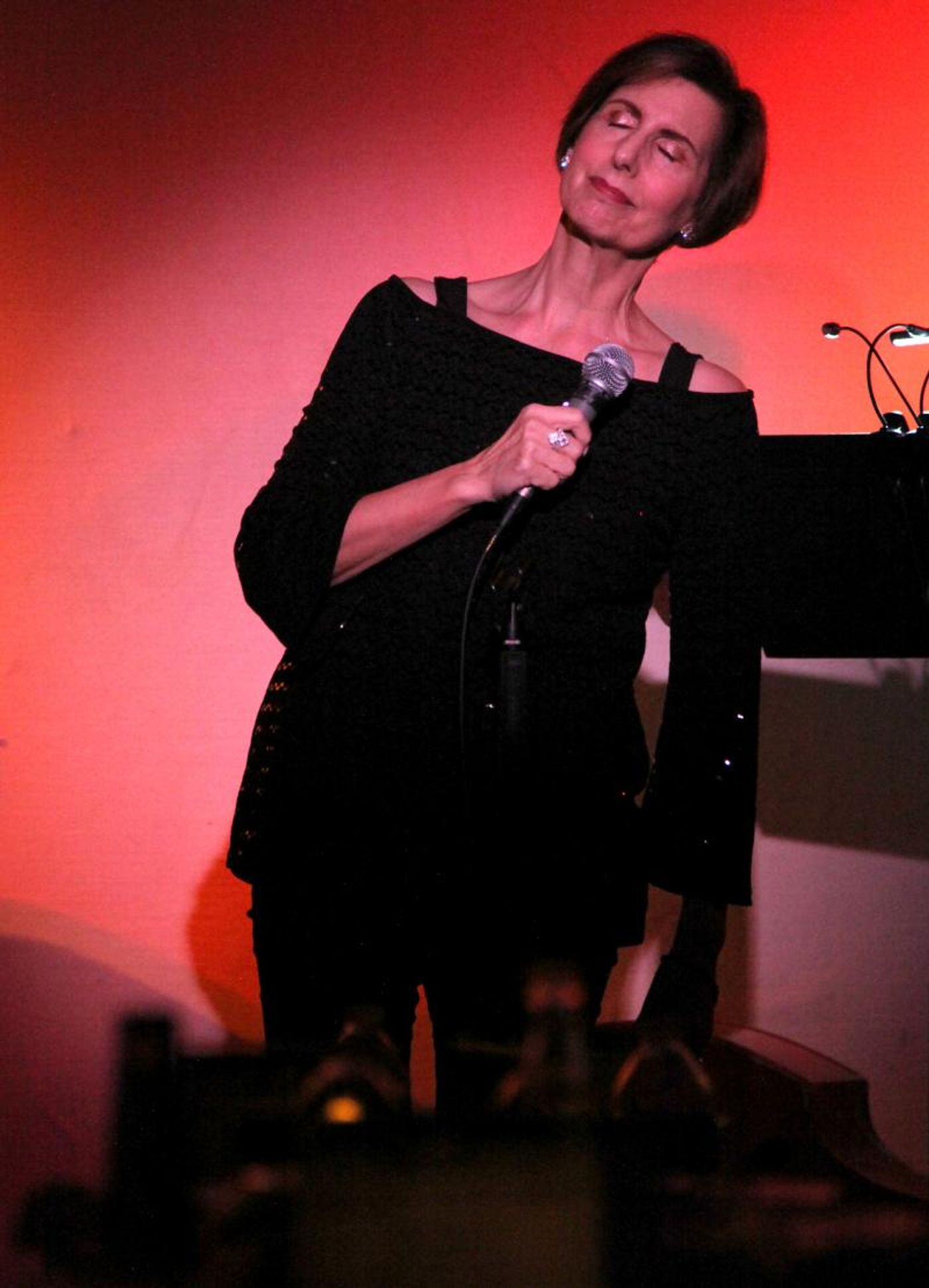 Review: Lucille Carr-Kaffashan Shows The Guys Some Love in HOW THE LIGHT GETS IN at Don't Tell Mama  Image