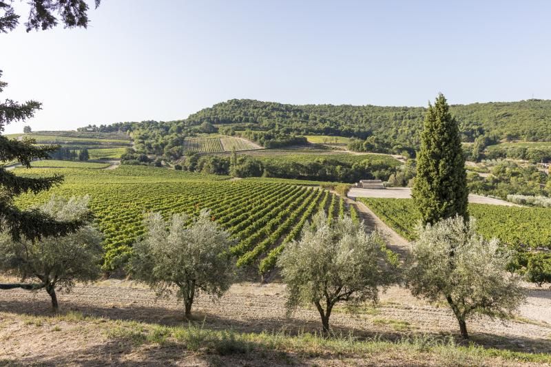 Photo Coverage: Discover CELLIER DES DAUPHINS from Côtes du Rhône — photo 3 of 4