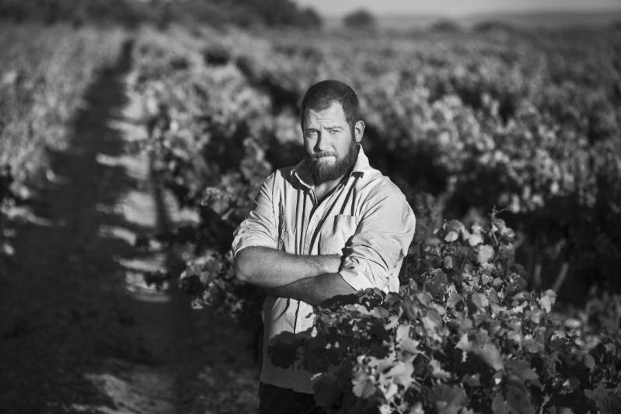 Photo Coverage: Discover CELLIER DES DAUPHINS from Côtes du Rhône Image