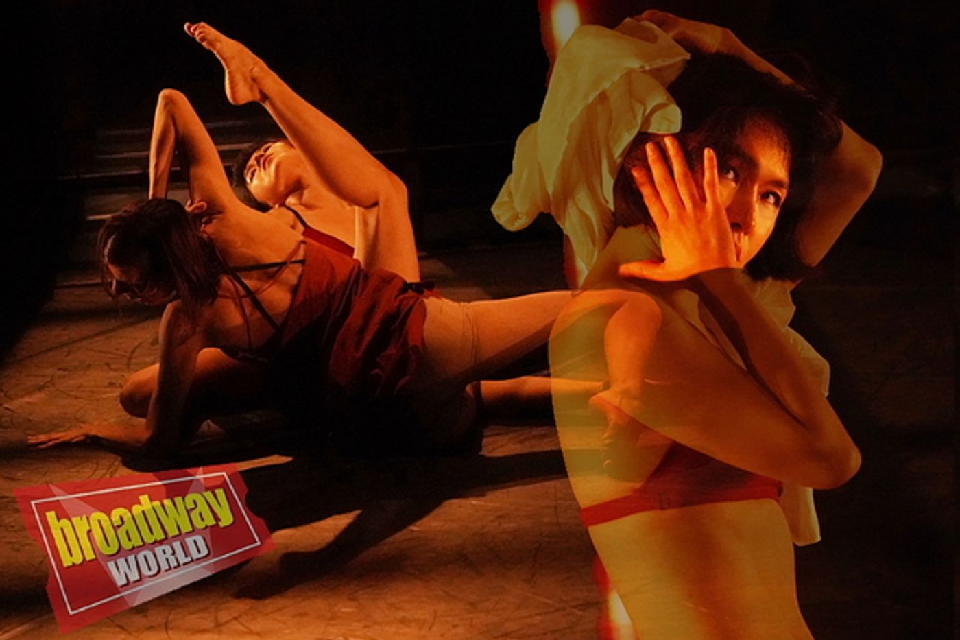 Photo Flash: Take a Look at Shobana Jeyasingh Dance's Latest Work STAGING SCHIELE  Image