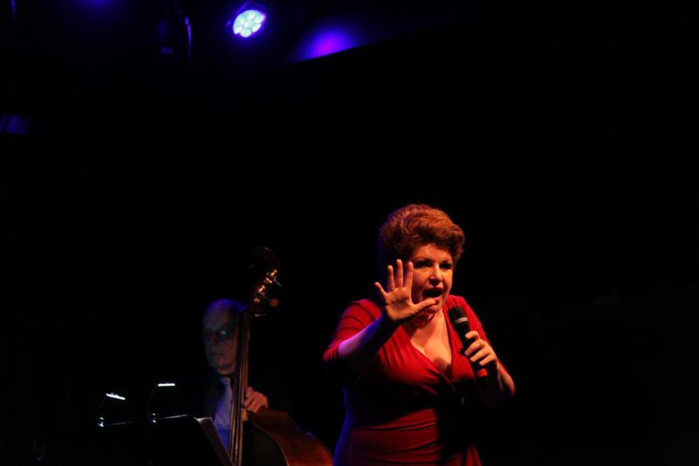 Review: NEW YORK: BIG CITY SONGBOOK Shines Like the Top of the Crysler Building at Birdland  Image