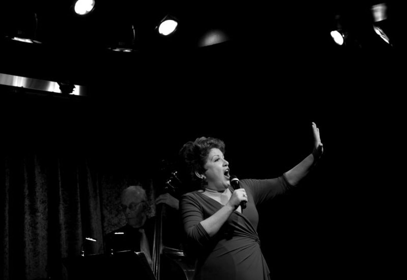 Review: NEW YORK: BIG CITY SONGBOOK Shines Like the Top of the Crysler Building at Birdland  Image