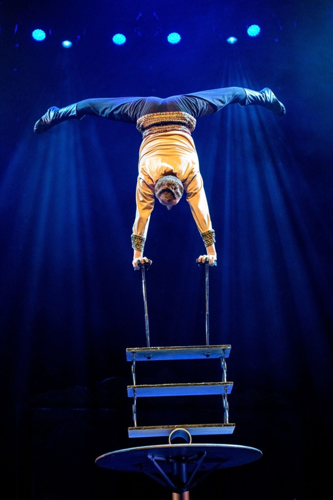 Photo Flash: Get a Look at All New Production Photos From CIRCUS 1903 at Southbank Centre's Royal Festival Hall  Image