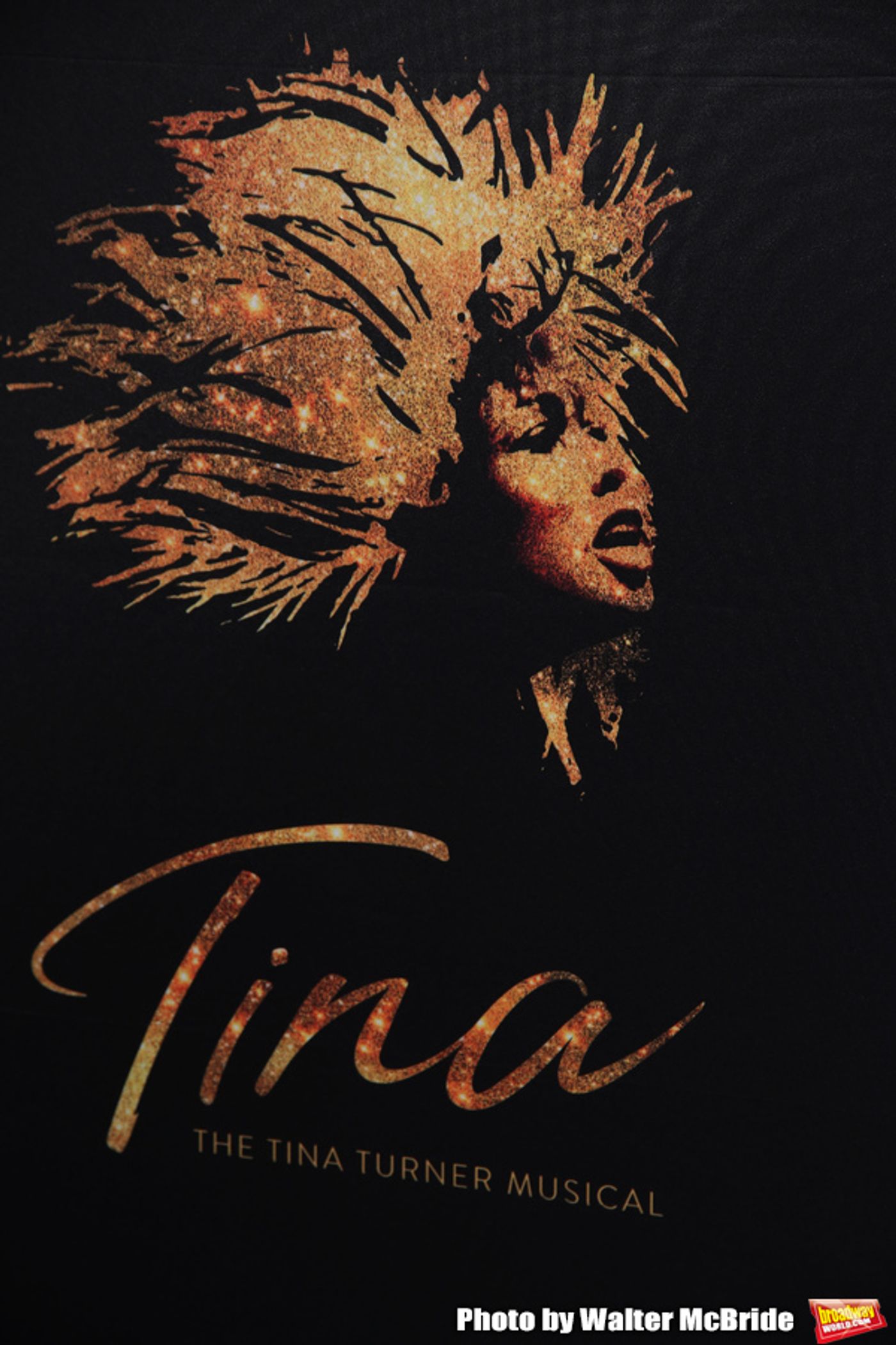 Photo Coverage: The Stars Arrive on the Opening Night Red Carpet For TINA - THE TINA TURNER MUSICAL  Image