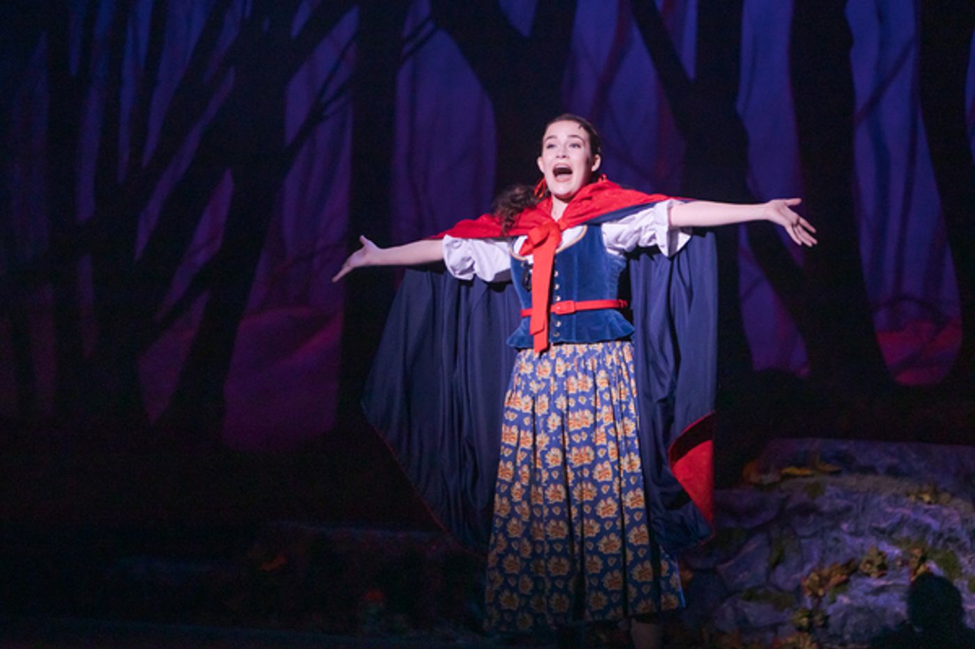 Photo Flash: First Look at INTO THE WOODS at Broadway By the Bay Photo Flash: First Look at INTO THE WOODS at Broadway By the Bay Image