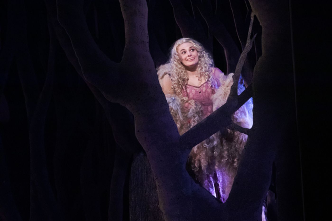 Photo Flash: First Look at INTO THE WOODS at Broadway By the Bay  Image
