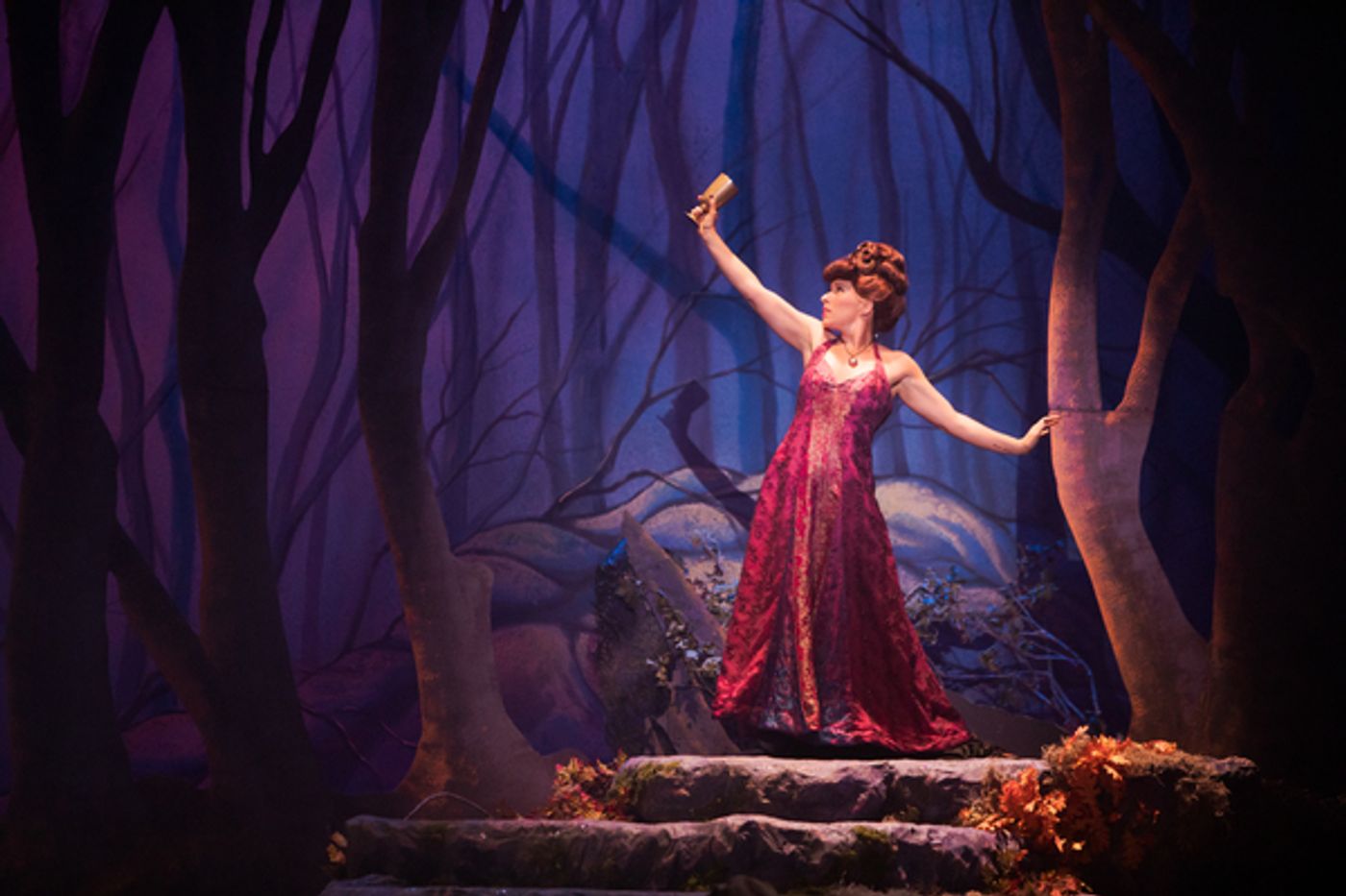 Photo Flash: First Look at INTO THE WOODS at Broadway By the Bay  Image
