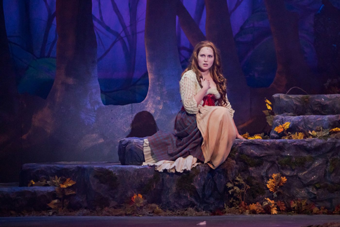 Photo Flash: First Look at INTO THE WOODS at Broadway By the Bay  Image