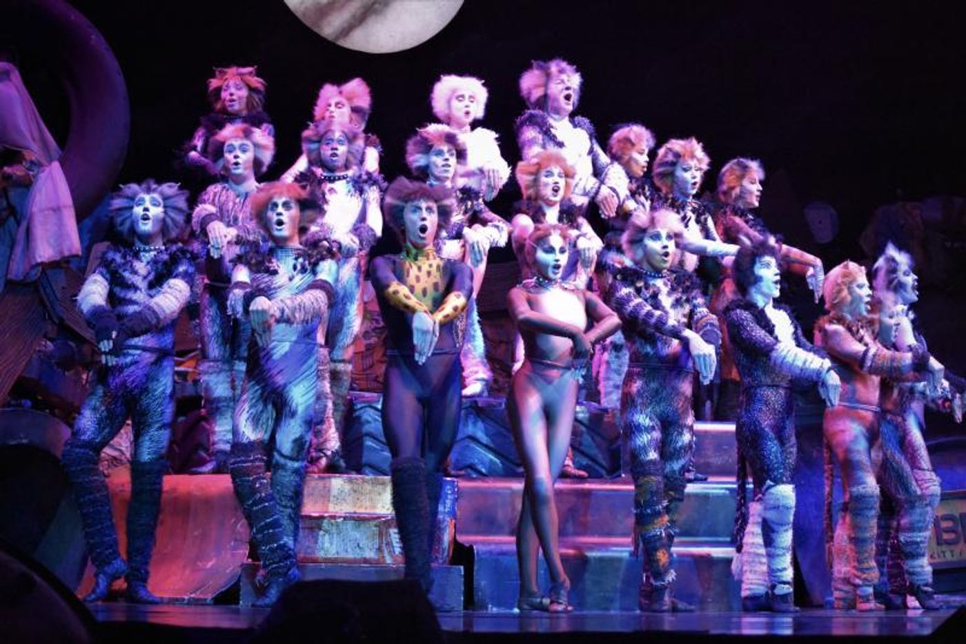 Photo Coverage: CATS Opens Four-Week Limited Engagement in Manila, Now Thru 1 Dec.  Image