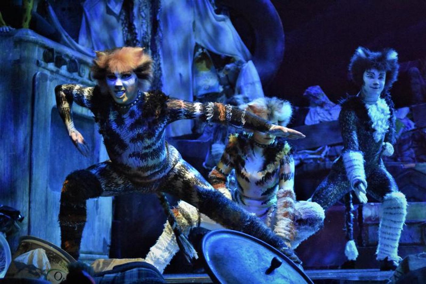 Photo Coverage: CATS Opens Four-Week Limited Engagement in Manila, Now Thru 1 Dec.  Image