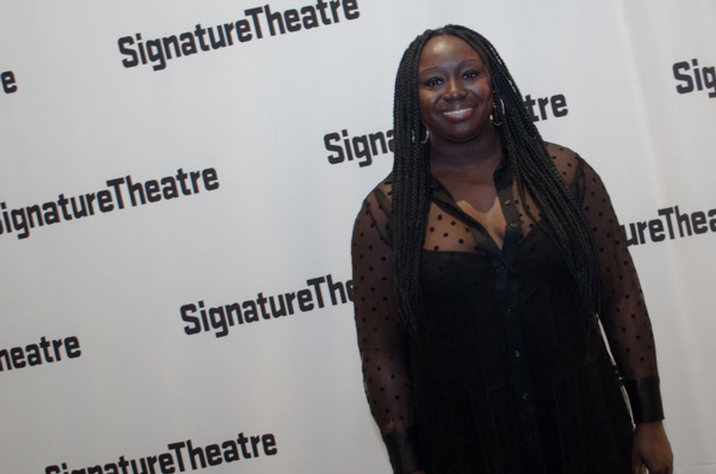 Photo Coverage: Signature Theatre Celebrates Opening Night of FIRES IN THE MIRROR  Image