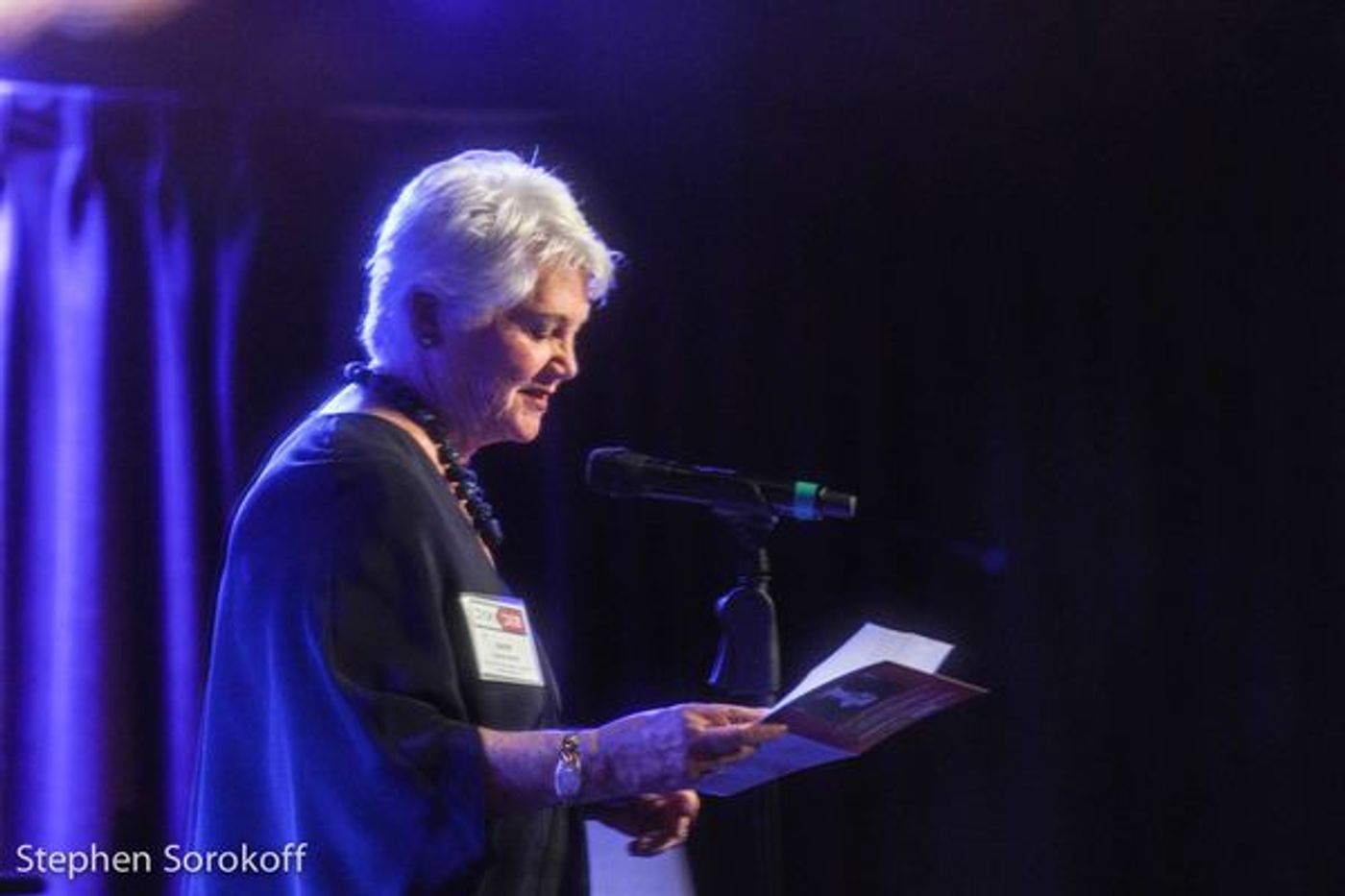 Photo Coverage: Inside Barrington Stage Company's Gala at Green Room 42  Image