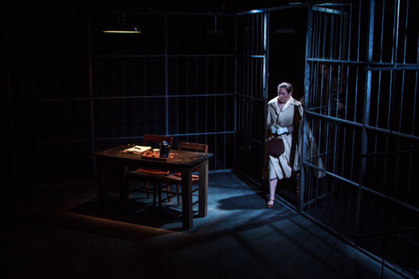 Photo Flash: Luna Stage Presents MRS. STERN WANDERS THE PRUSSIAN STATE LIBRARY  Image