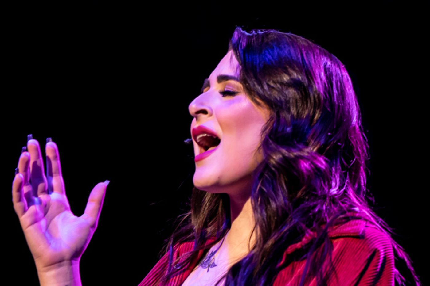 Photo Coverage: First Look at Worthington Community Theatre's NEXT TO NORMAL Photo Coverage: First Look at Worthington Community Theatre's NEXT TO NORMAL Image