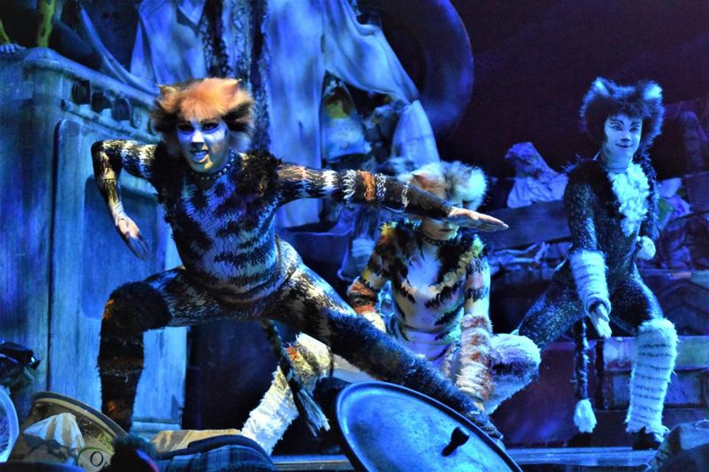 Review: CATS, A Litter Ground of Spectacle, Mystery, Fun and Nostalgia  Image