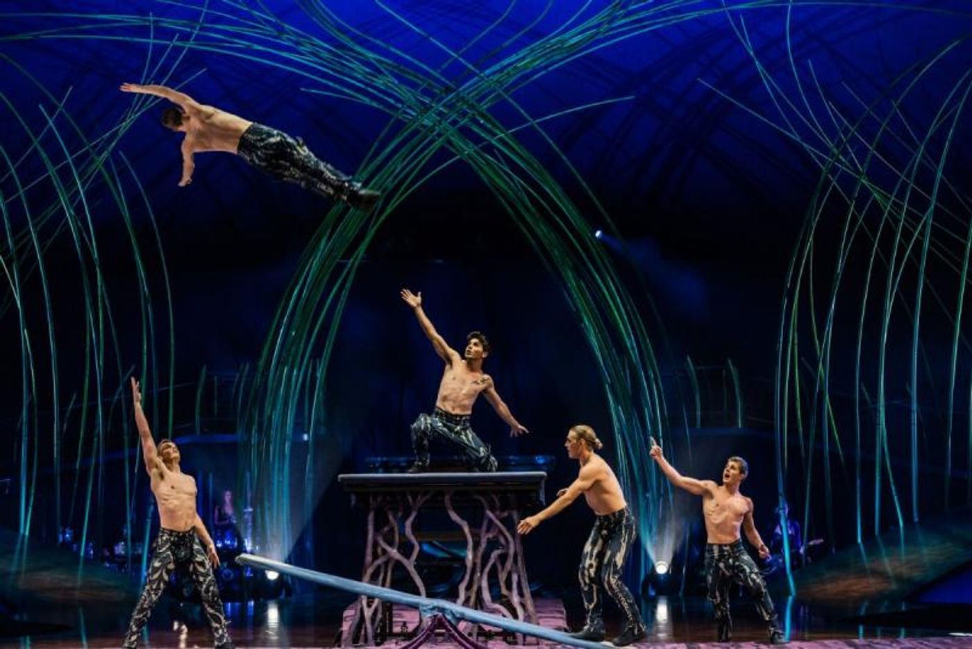 Review: AMALUNA at The Big Top At Oracle is a wondrous and enchanting night at the circus that will be enjoyed by all ages. Review: AMALUNA at The Big Top At Oracle is a wondrous and enchanting night at the circus that will be enjoyed by all ages. Image