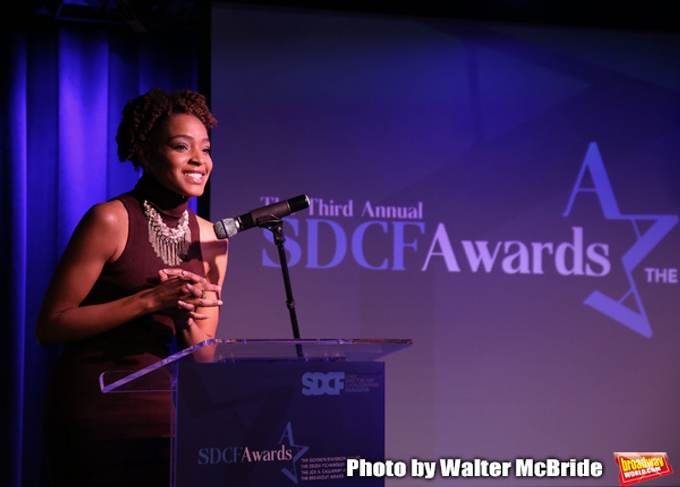 Photo Coverage: Inside the Third Annual SDCF Awards Photo Coverage: Inside the Third Annual SDCF Awards Image