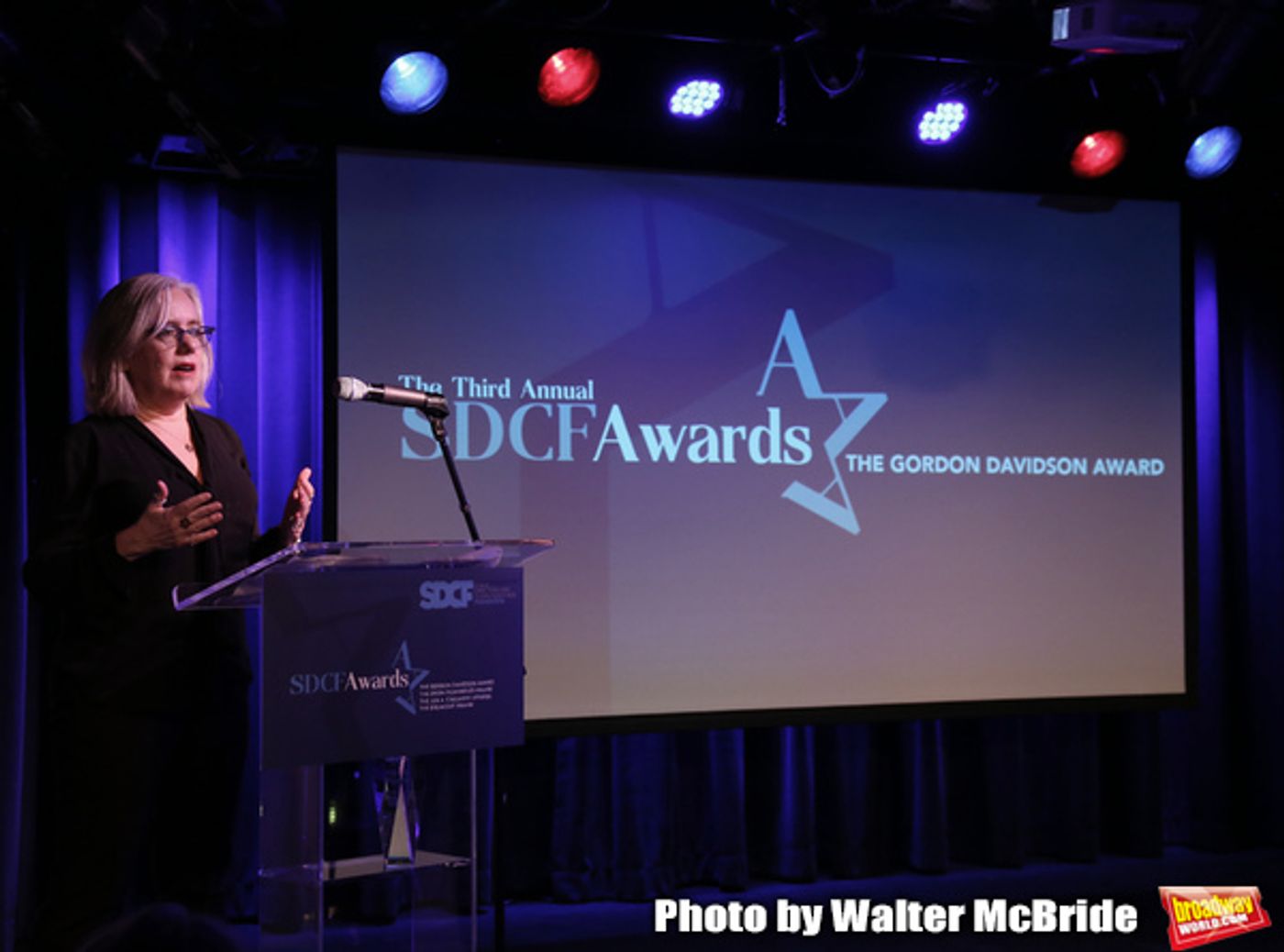 Photo Coverage: Inside the Third Annual SDCF Awards  Image