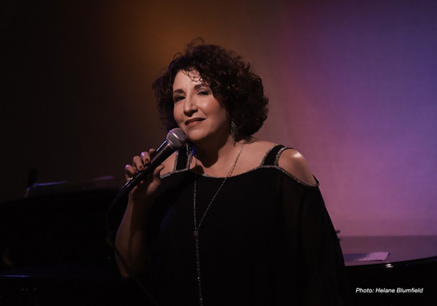 Photo Flash: Lisa Viggiano Brings FROM LADY DAY TO THE BOSS To Don't Tell Mama  Image