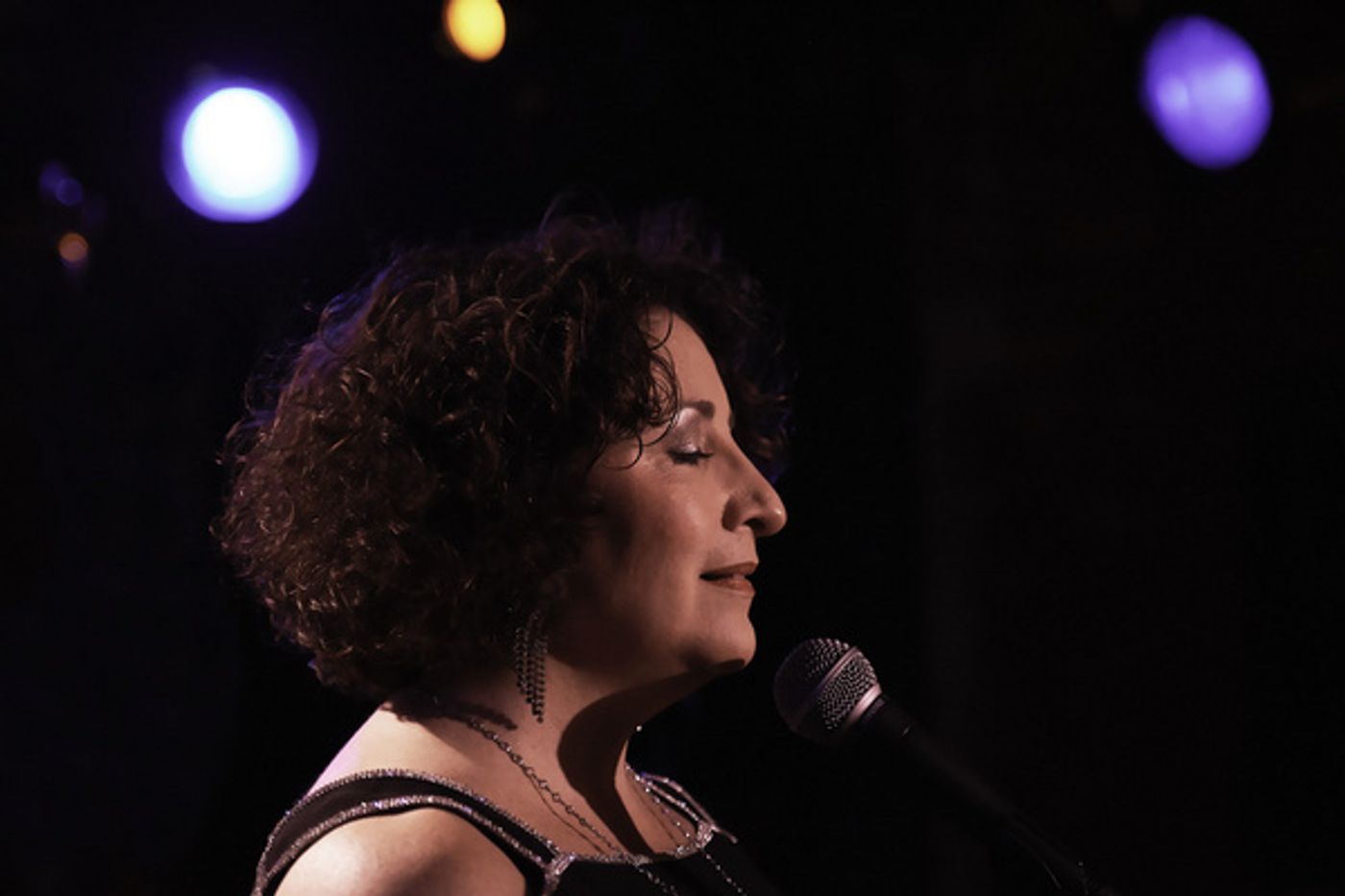 Photo Flash: Lisa Viggiano Brings FROM LADY DAY TO THE BOSS To Don't Tell Mama  Image