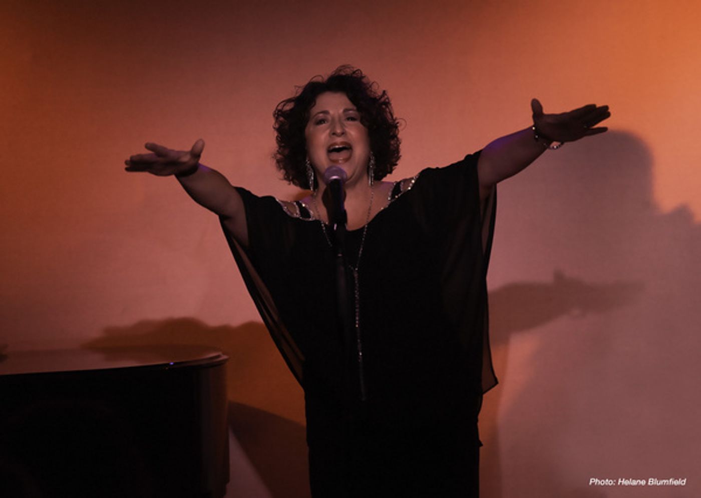 Photo Flash: Lisa Viggiano Brings FROM LADY DAY TO THE BOSS To Don't Tell Mama  Image