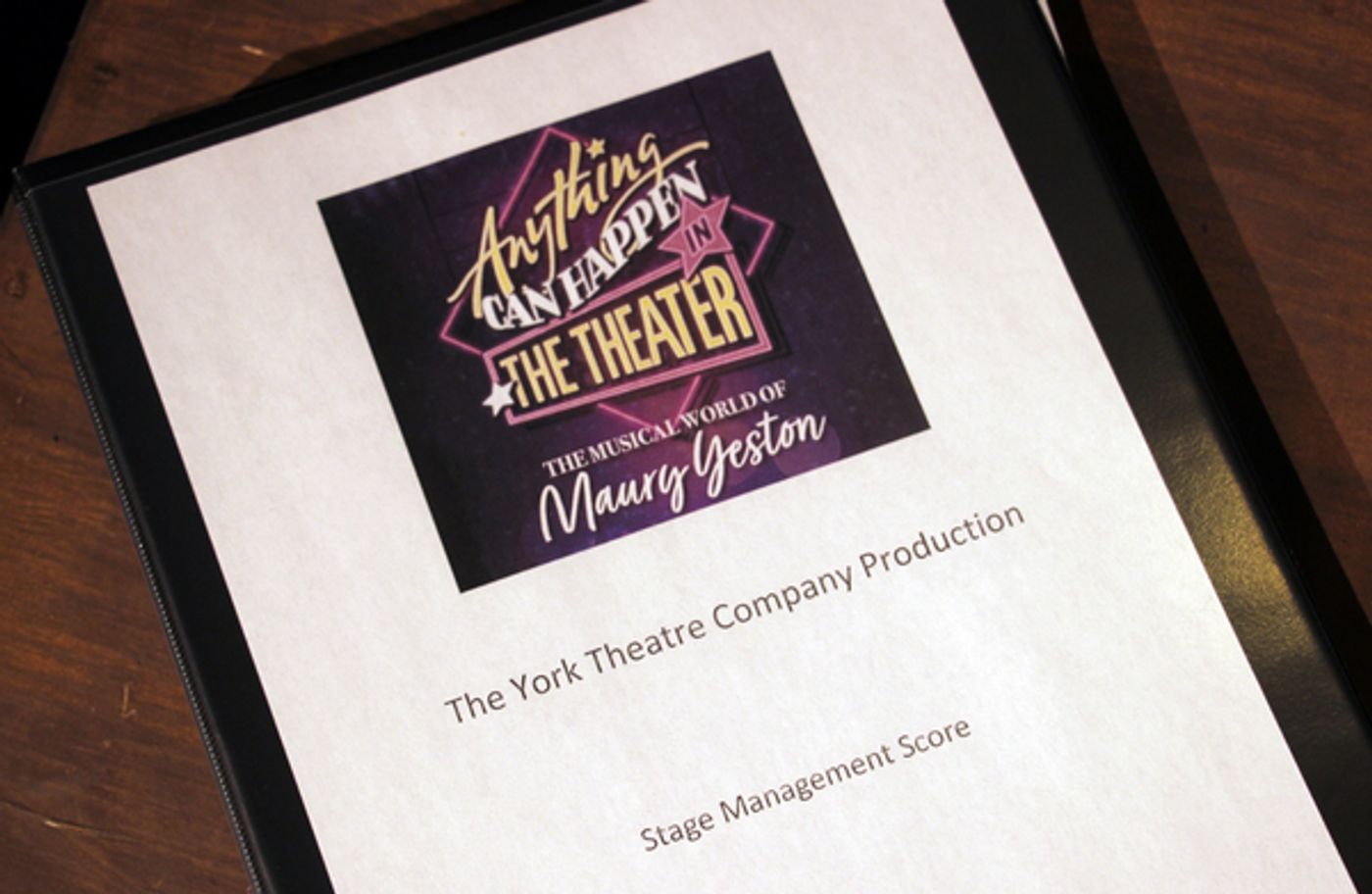 Photo Flash: Meet the Cast and Creatives of ANYTHING CAN HAPPEN IN THE THEATER  Image