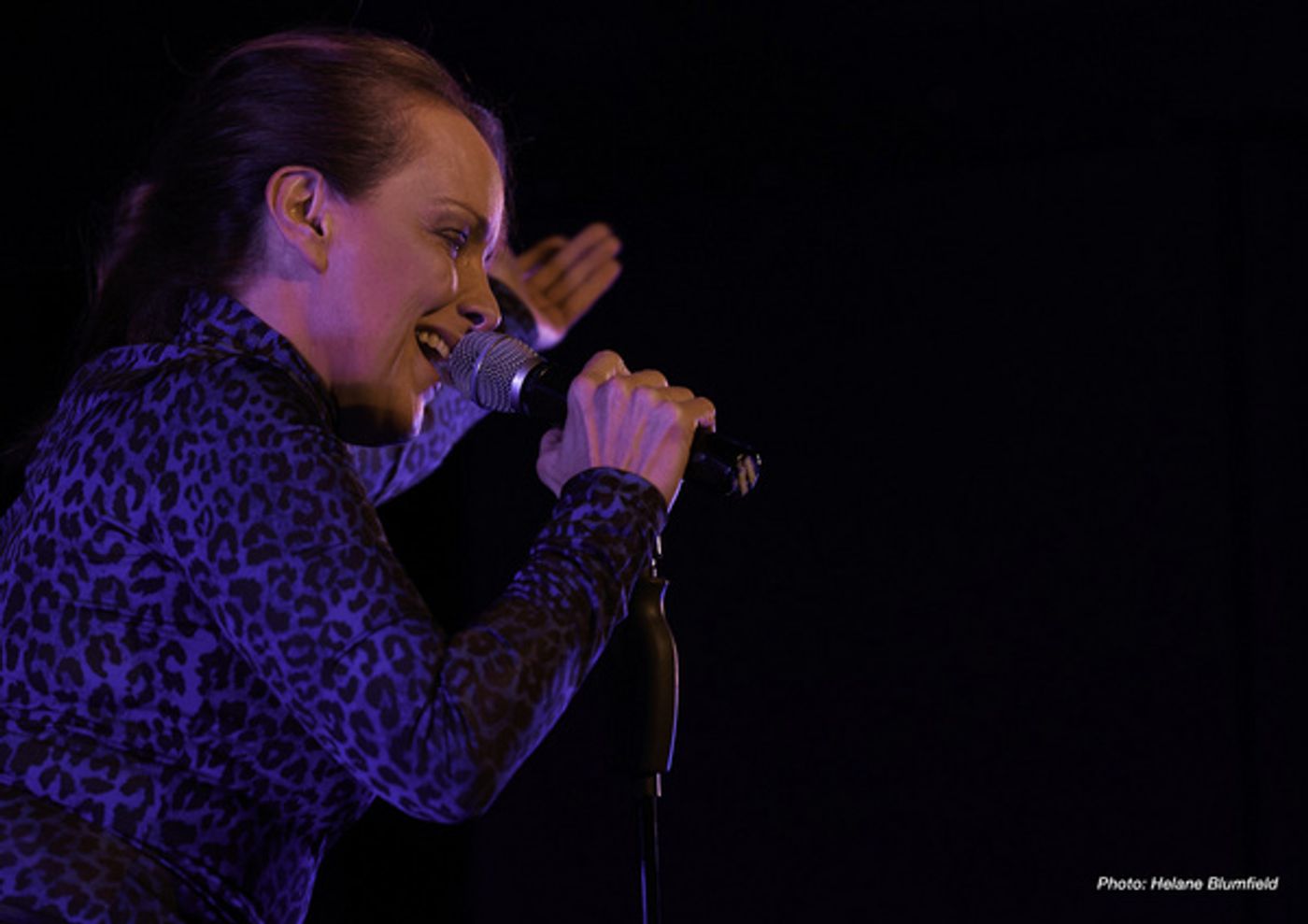 Photo Flash: Alice Ripley Plays The Laurie Beechman  Image