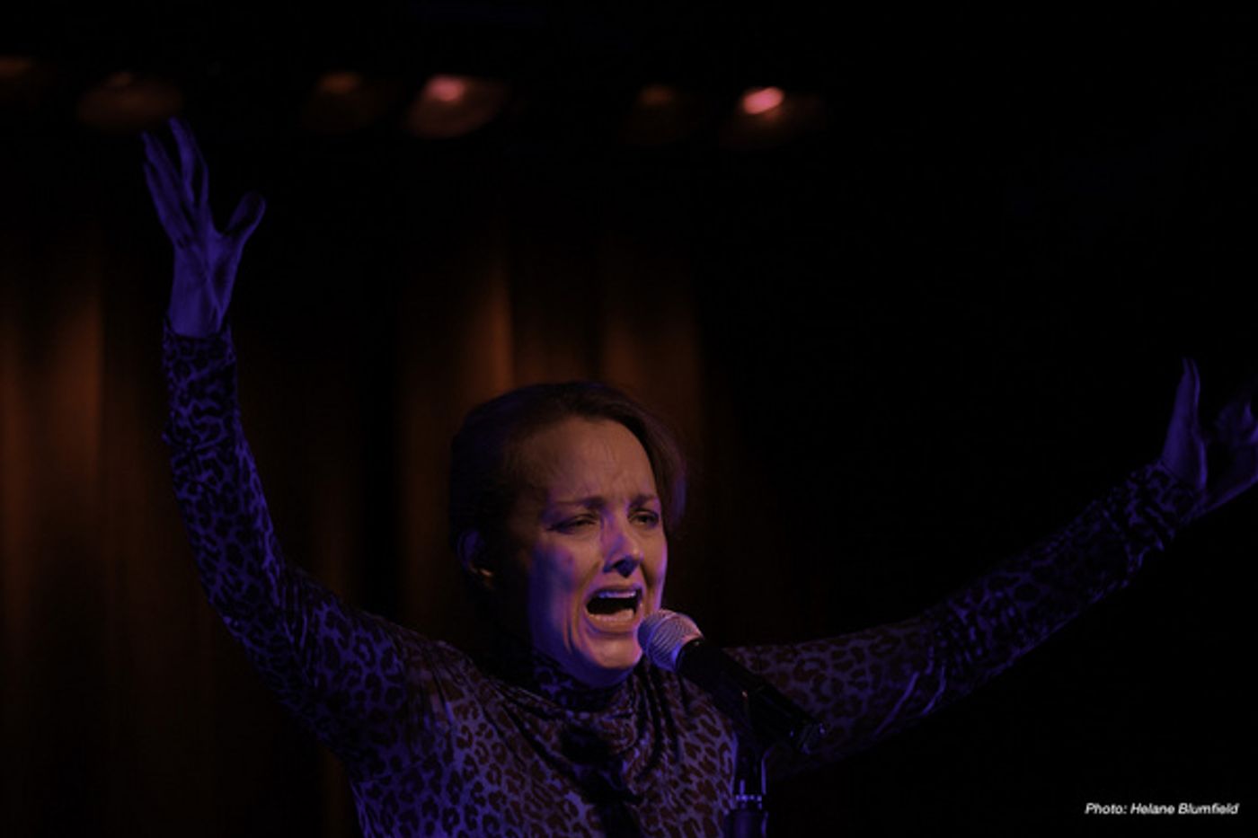 Photo Flash: Alice Ripley Plays The Laurie Beechman  Image