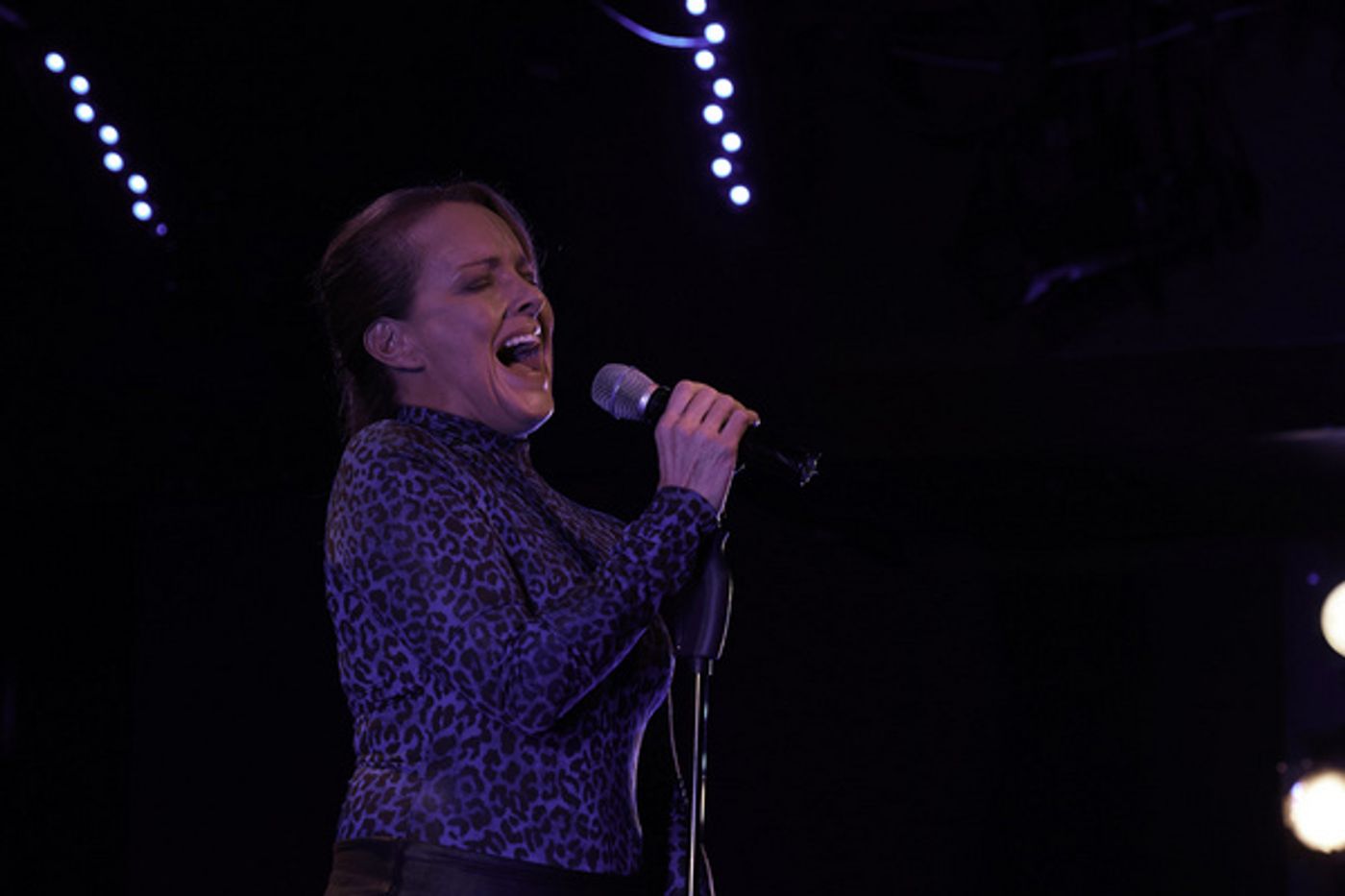 Photo Flash: Alice Ripley Plays The Laurie Beechman  Image
