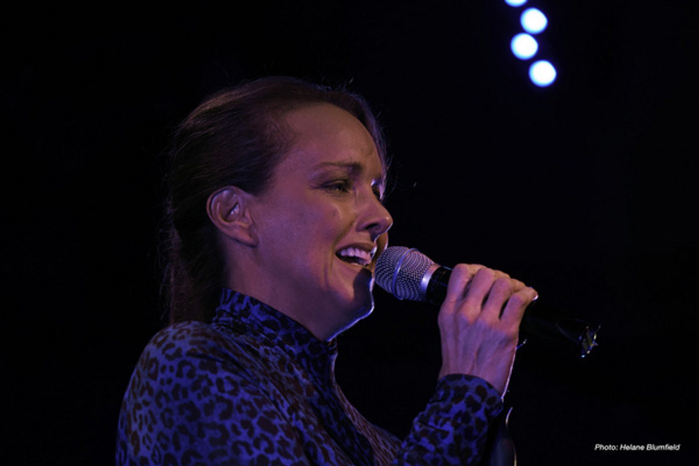 Photo Flash: Alice Ripley Plays The Laurie Beechman  Image