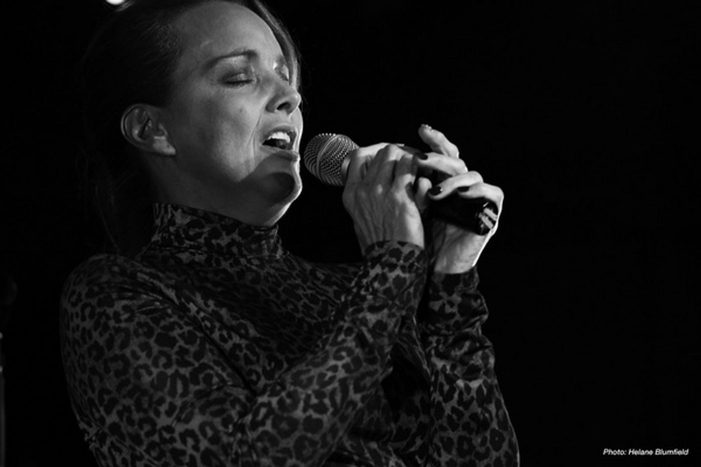 Photo Flash: Alice Ripley Plays The Laurie Beechman  Image