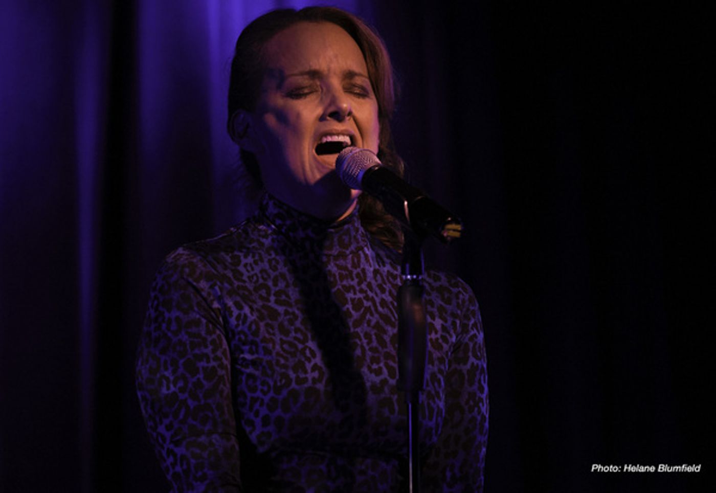 Photo Flash: Alice Ripley Plays The Laurie Beechman  Image