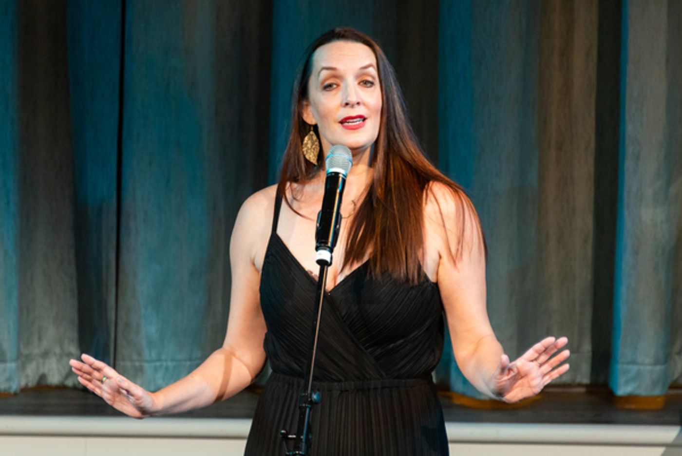 Photo Flash: Stephen Schwartz, Julia Murney and More at The New York Musical Festival Benefit Concert  Image