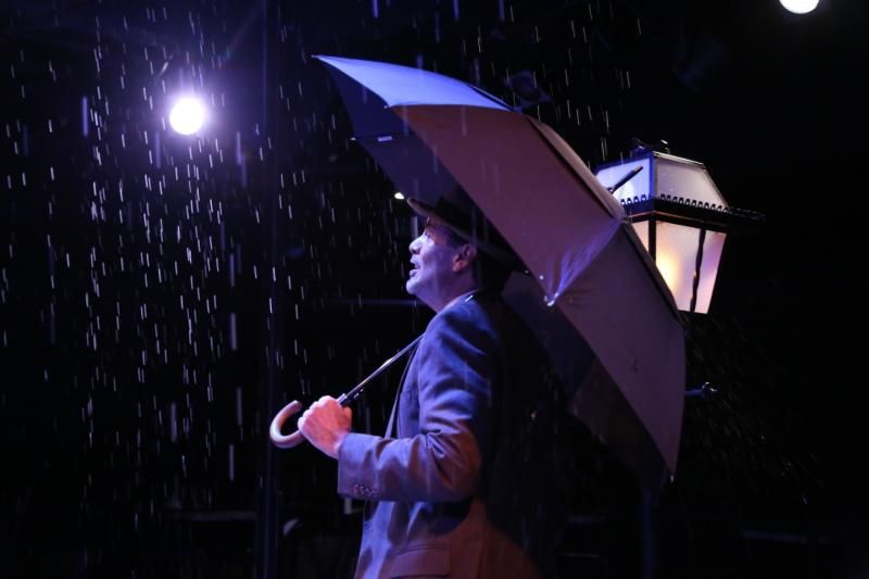 Review: SINGIN' IN THE RAIN Sings and Dances Up a Storm at Chaffin's Barn Dinner Theatre  Image