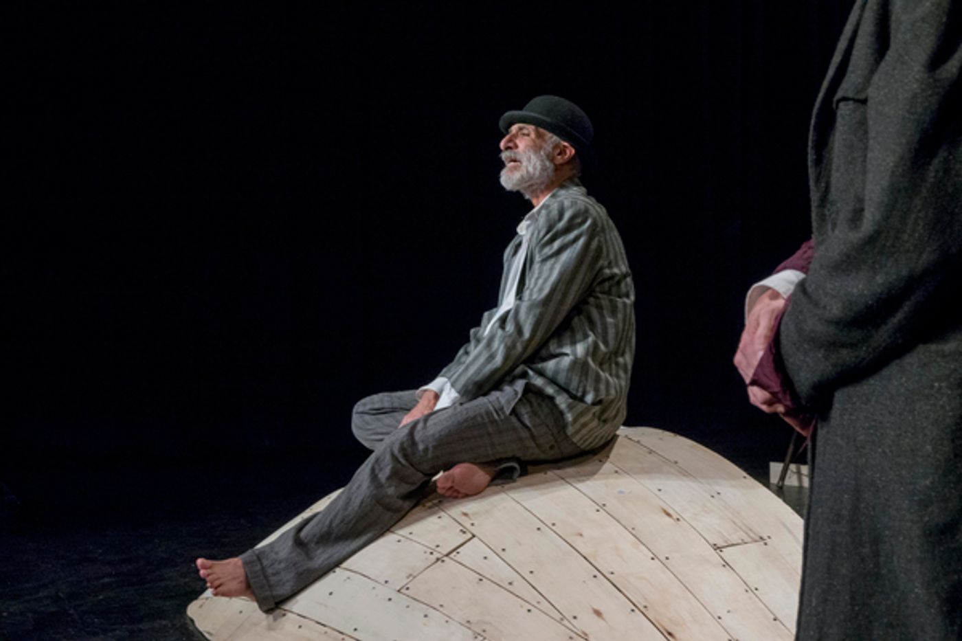 Photo Flash: First Look At WAITING FOR GODOT At Victory Gardens Photo Flash: First Look At WAITING FOR GODOT At Victory Gardens Image