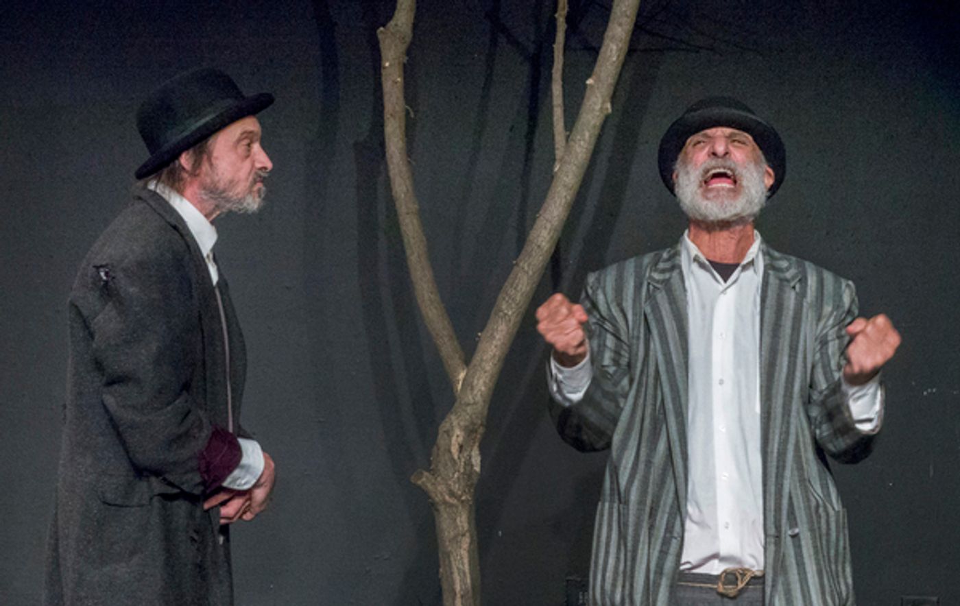 Photo Flash: First Look At WAITING FOR GODOT At Victory Gardens Photo Flash: First Look At WAITING FOR GODOT At Victory Gardens Image