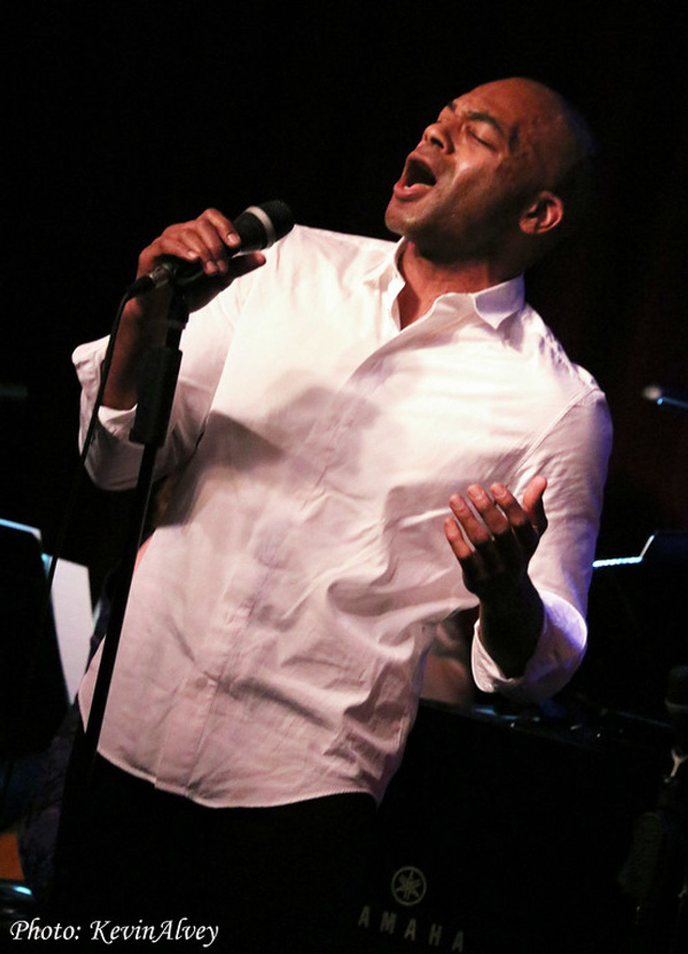 Photo Flash: Jessica Vosk, Brandon Victor Dixon And More Take The Stage At Birdland With Composer Georgia Stitt  Image