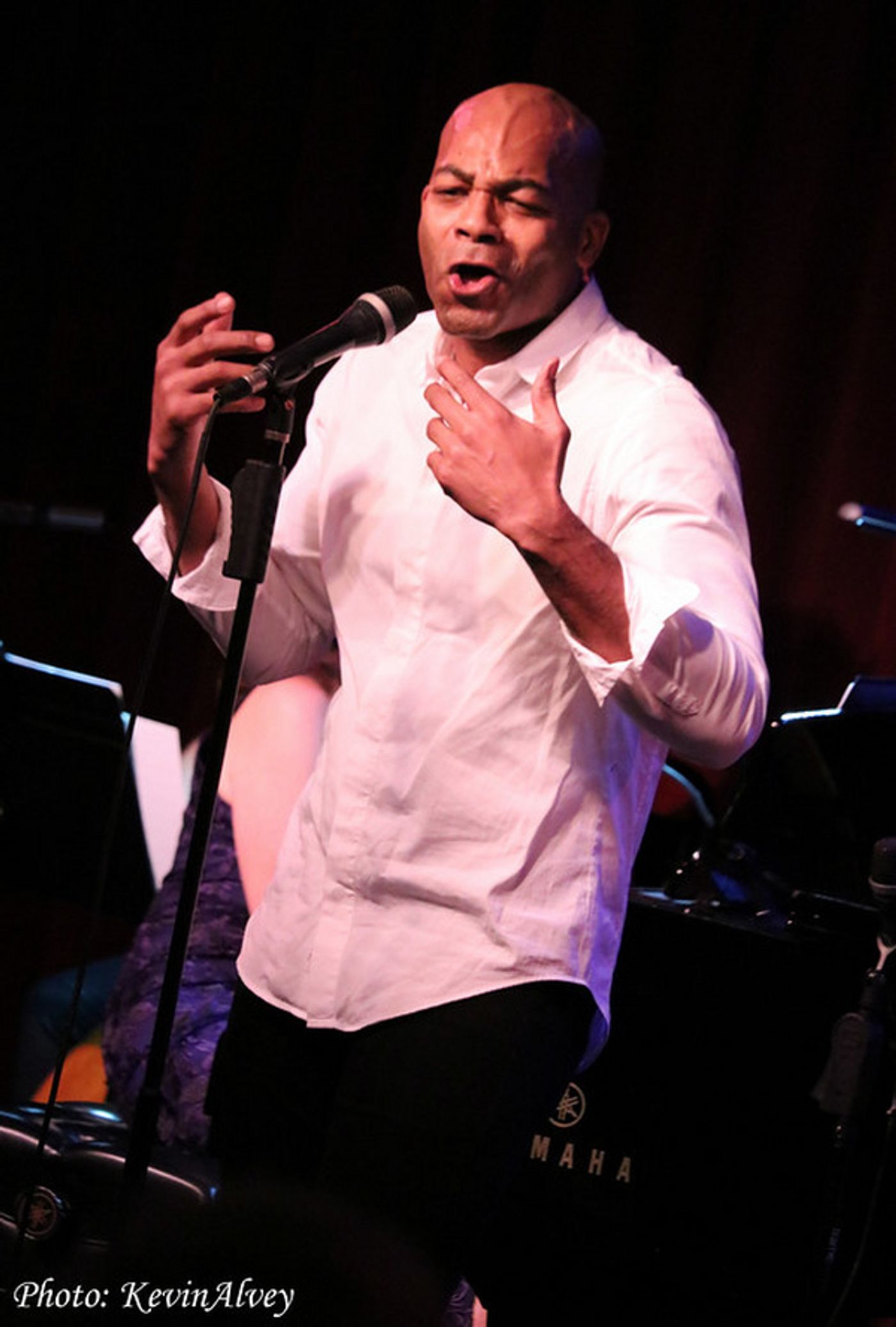 Photo Flash: Jessica Vosk, Brandon Victor Dixon And More Take The Stage At Birdland With Composer Georgia Stitt  Image