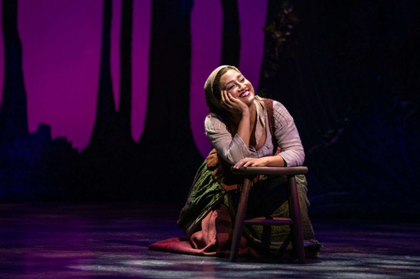 Photo Flash: First Look at Photos From Rodgers & Hammerstein's CINDERELLA at Paper Mill Playhouse  Image