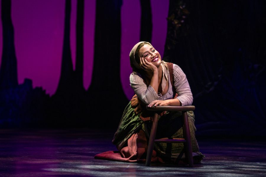 Photo Flash: First Look at Photos From Rodgers & Hammerstein's CINDERELLA at Paper Mill Playhouse Image
