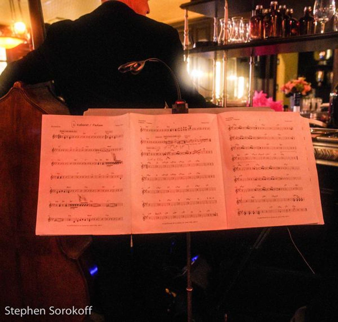 Photo Coverage: Yanna Avis Brings Paris To The Grand Salon at La Goulue Photo Coverage: Yanna Avis Brings Paris To The Grand Salon at La Goulue Image