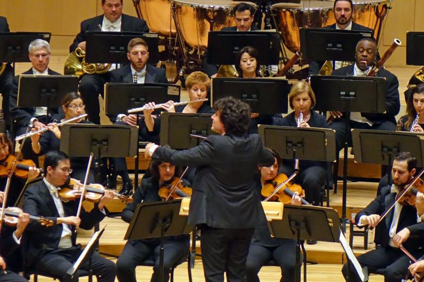 Review: DVOŘÁK'S NEW WORLD Picks Up Slack in Symphony Concert  Image