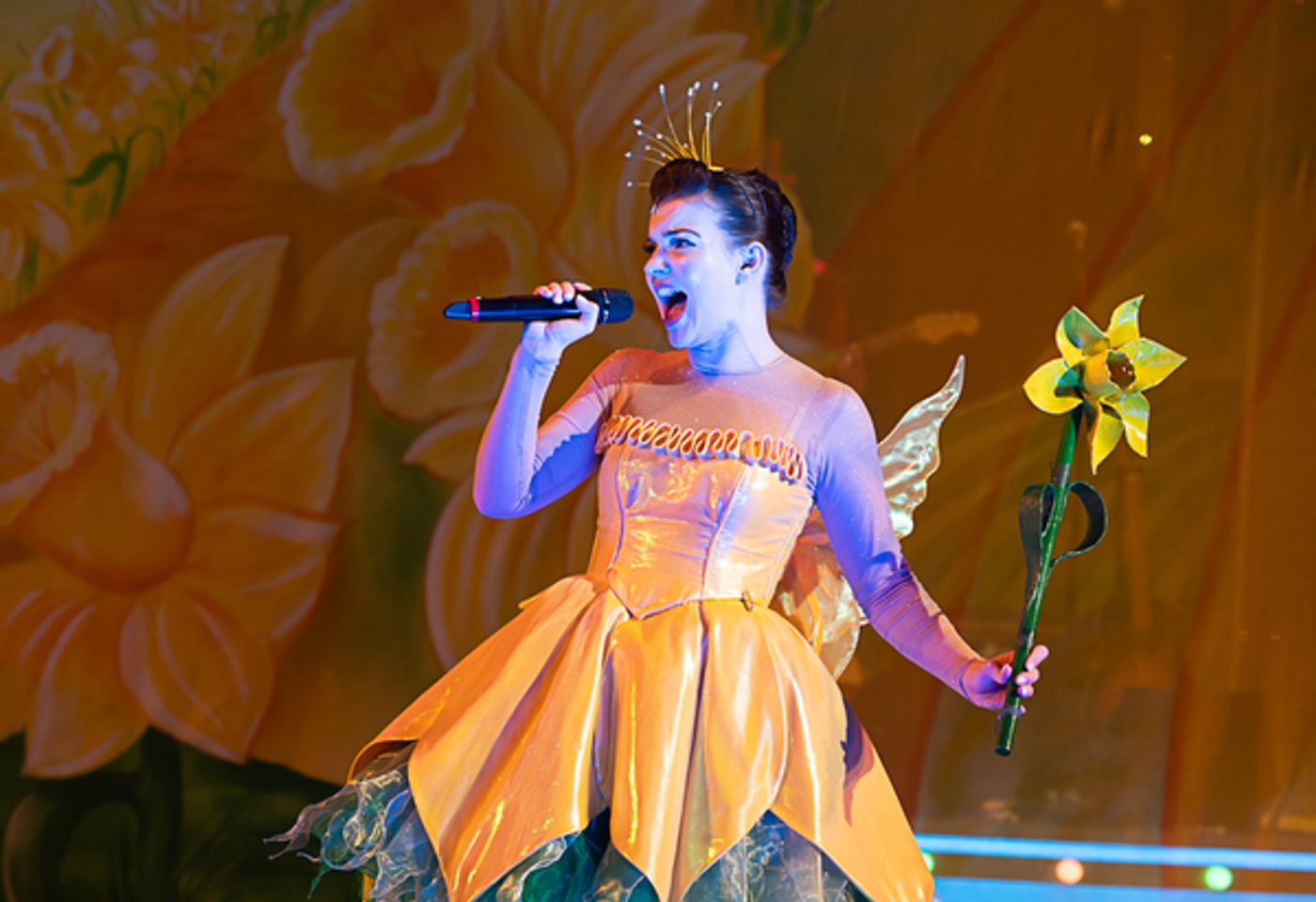 Photo Flash: First Look at JACK AND THE BEANSTALK AT Theatr Clwyd  Image