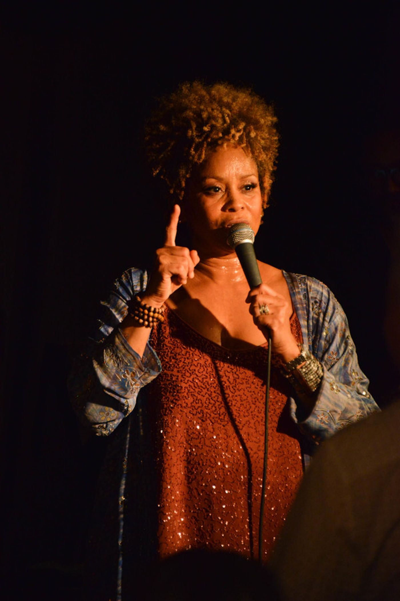 Photo Flash: Niki Haris and Donna De Lory Perform at the Standard Hotel Photo Flash: Niki Haris and Donna De Lory Perform at the Standard Hotel Image