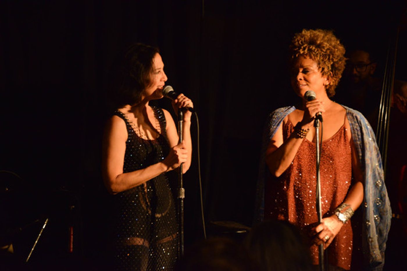 Photo Flash: Niki Haris and Donna De Lory Perform at the Standard Hotel Photo Flash: Niki Haris and Donna De Lory Perform at the Standard Hotel Image