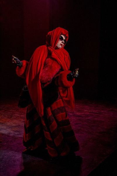 Tova Katz Photo