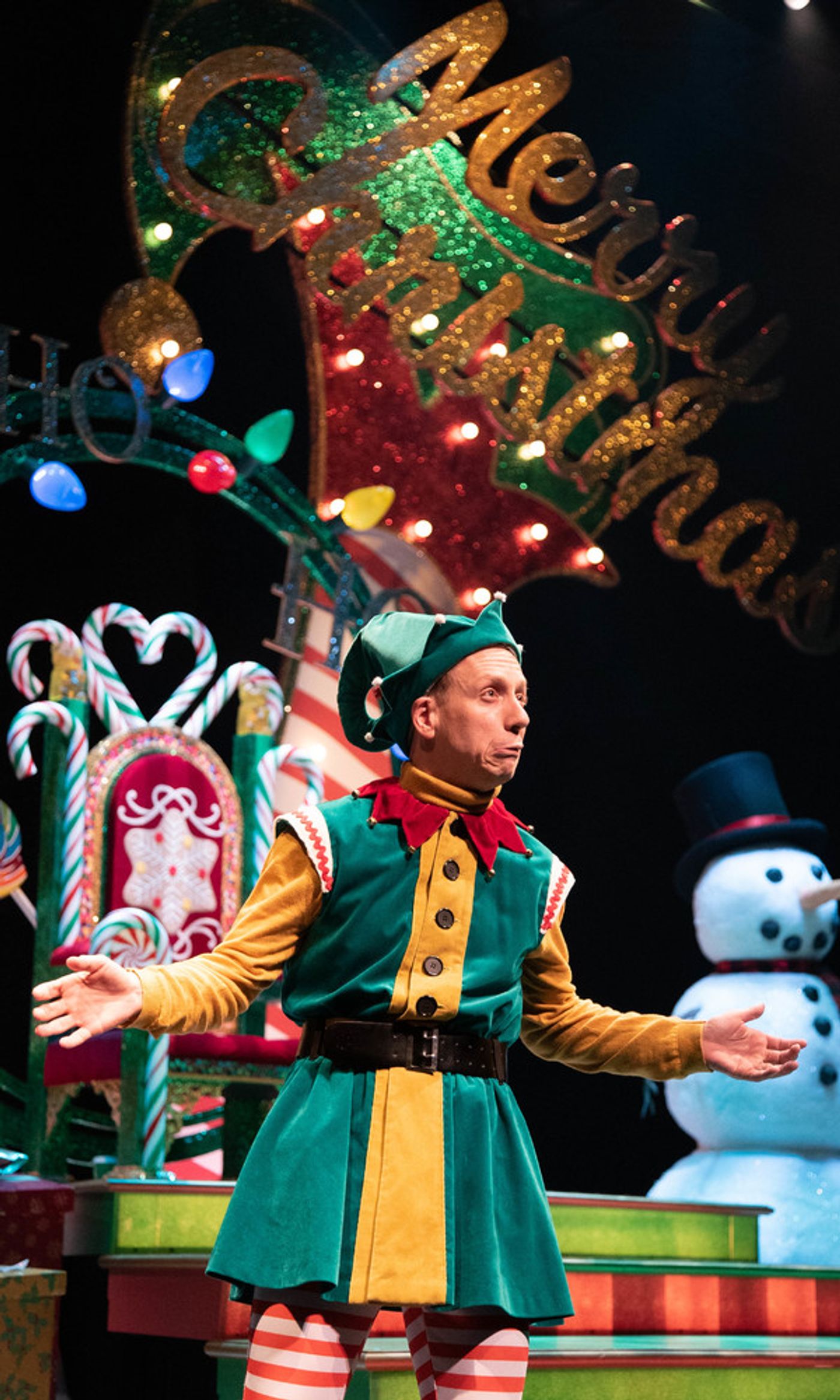 Photo Flash: Steven Strafford Stars In THE SANTALAND DIARIES At Goodman Theatre  Image