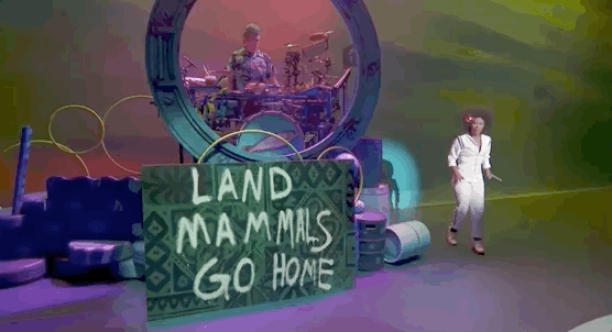 SpongeBob Live